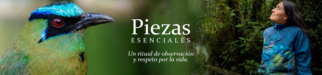 Categoria textil