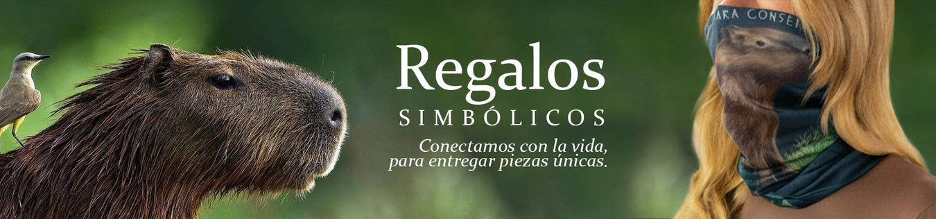 Categoria Bienestar