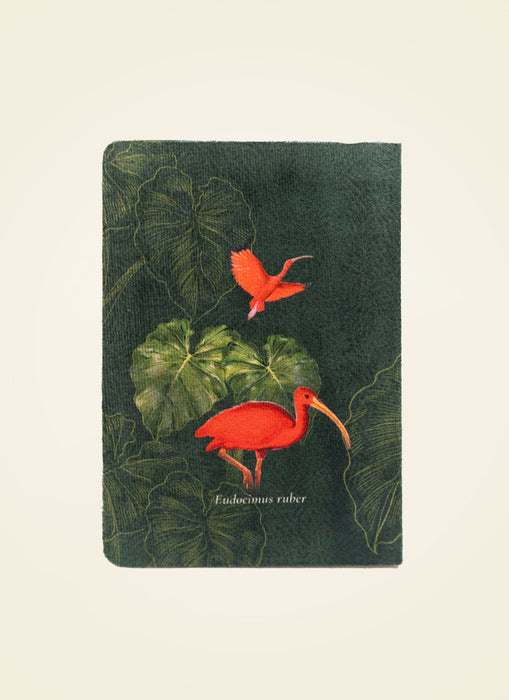 Diarios de Naturaleza - Edición Solidaria.